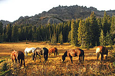 Canada-British Columbia-Chilcotin Backcountry Expedition
